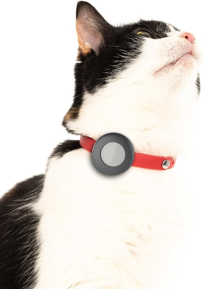 Airtag Breakaway Cat Collar - Soft, Comfortable, and Lightweight Safety Buckle Collar with Air Tag GPS Tracker Holder for Outdoor Cats and Sensitive Skin Kittens by Nuvuq (6 ⅞" to 10 ¼", Red)