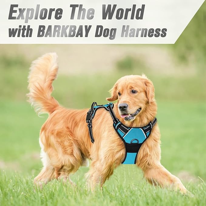 BARKBAY No Pull Dog Harness Front Clip Heavy Duty Reflective Easy Control Handle for Large Dog Walking(Blue,M)