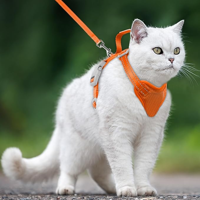 Cat Harness and Leash Set Escape Proof for Kitten Walking, Soft Adjustable Top Handle Vest Harnesses for Cats, Easy Control Breathable Reflective Small Medium Large, Orange, XXS