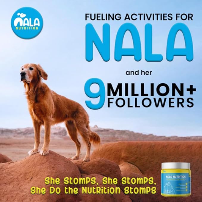 Advanced Hip and Joint Supplement for Dogs | Chondroitin, Vitamin and Glucosamine for Dogs | Dog Joint Supplement for Health + Mobility | 120 Scoops