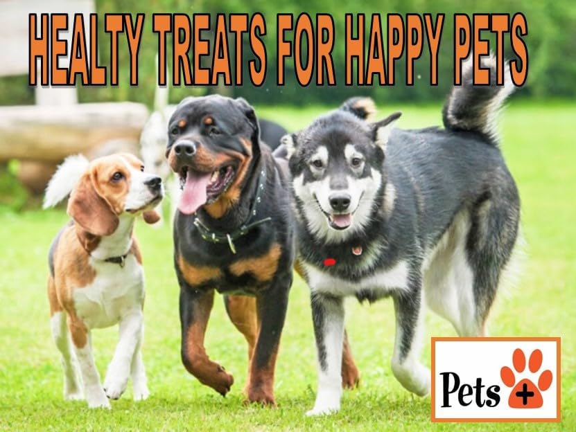 Pets Plus Premium Dog Treats ā Pig Ears, 4 Pack | All-Natural, High-Protein Chews for Dogs, Long-Lasting Treats for Dental Health, Training & Boredom Relief