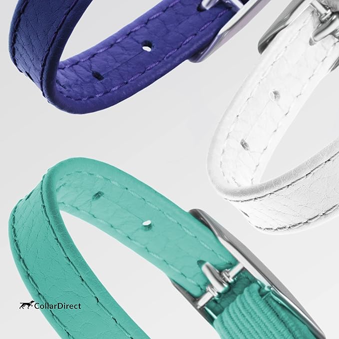 CollarDirect Leather Cat Collar, Kitten Collar with Removable Bell Black Blue Red Orange Lime Green (6-7 Inch, White)