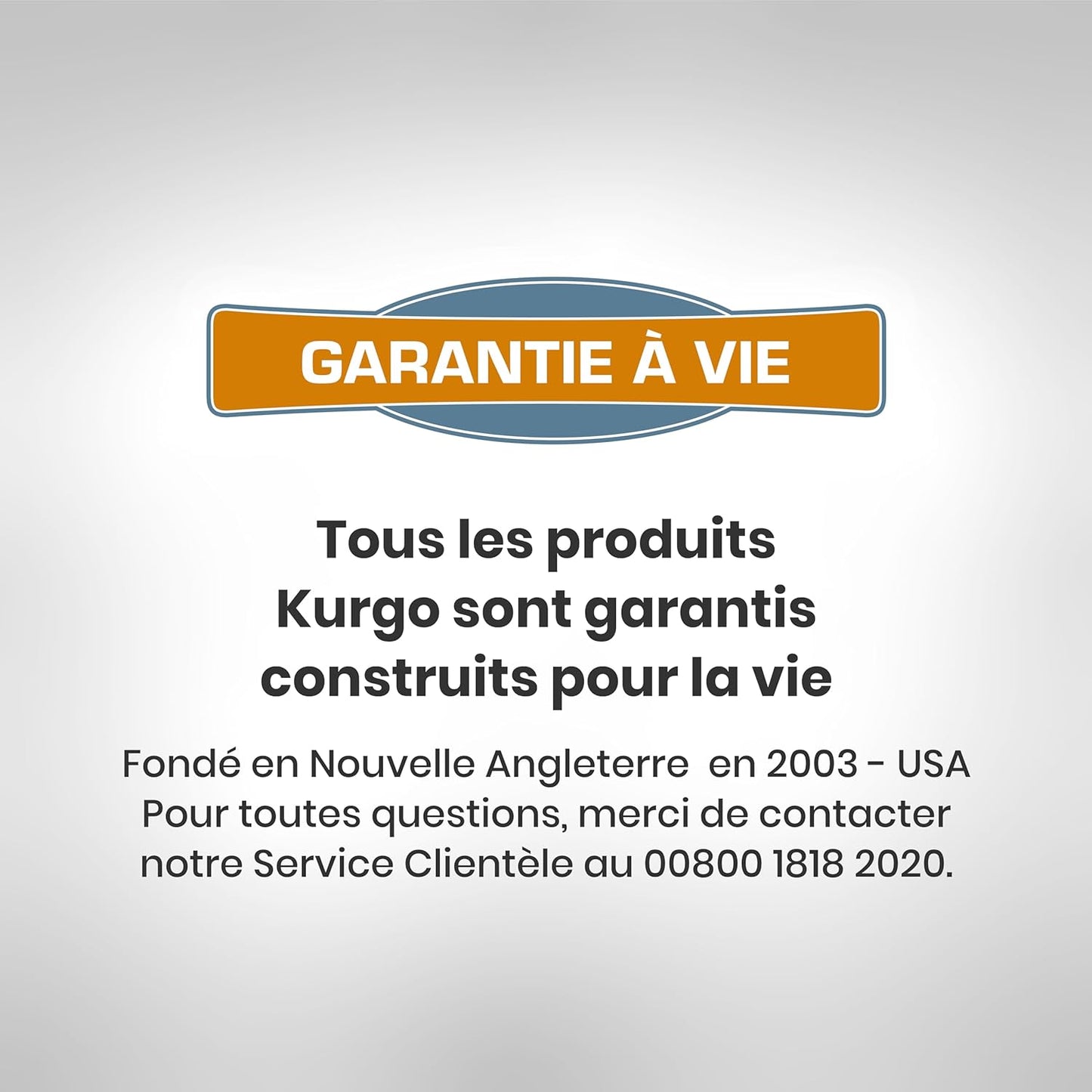 Kurgo Big Baxter Dog Backpack, Dog Saddlebag, Dog Pack, Adjustable Saddlebag for Hiking, Walking, Running, Camping, Black/Orange