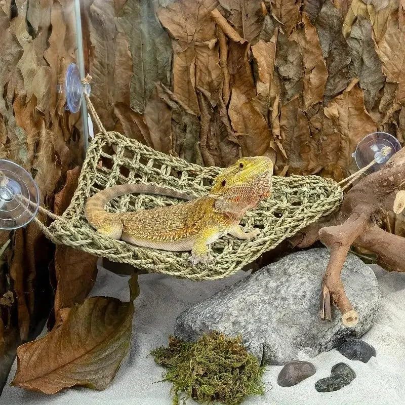 Bearded Dragon Tank Accessories Set: Reptile Habitat Decor with Climbing Hammock Toys, Natural Wood Hideout for Hermit Crab, Lizard, Leopard Gecko,Crested,Tortoise, Snake