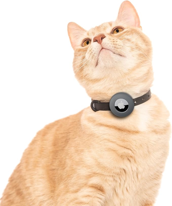 Airtag Cat Collar - Soft, Comfortable, and Lightweight Breakaway Collar with Air Tag GPS Tracker Holder for Outdoor Cats and Sensitive Skin Kittens by Nuvuq (6 ⅞" to 10 ¼", Black)