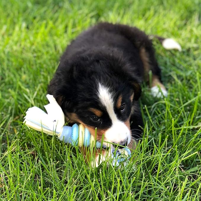 Original Snuggle Puppy Essentials Starter Kit - Heartbeat Puppy for Dogs - Calming Aid with 3 Heat Packs, Puppy Teething Toy, Dog Chew Toy and Dog Blanket