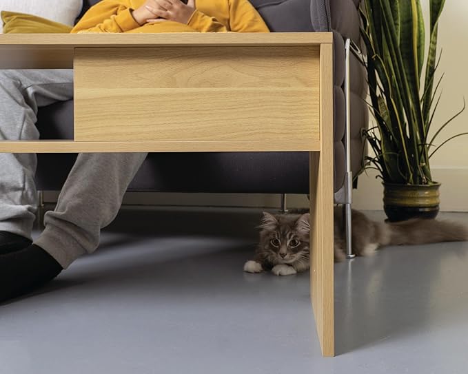 4 Cats & Dogs Jewl Nesting Table – Multi-Function Cat Scratcher with Replaceable Sisal Post, Storage & Compact Coffee Table – Durable Engineered Wood, Modern Design for Home & Pet Comfort – Walnut