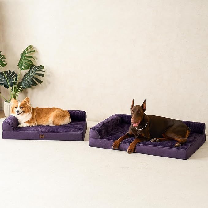 EHEYCIGA Memory Foam Dog Bed Large Sized Dogs, Waterproof Dog Bed Orthopedic with Washable Removable Cover, Non-Slip Pet Bed Couch, 36x27x6 Inches, Purple