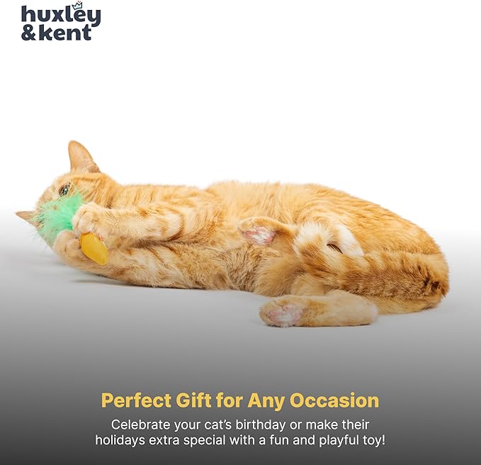 Huxley & Kent Plush Cat Toy - Interactive Catnip Toy for Cats & Kittens - Soft with Crinkle & Catnip - Fun Indoor Play - Lil' Pooper