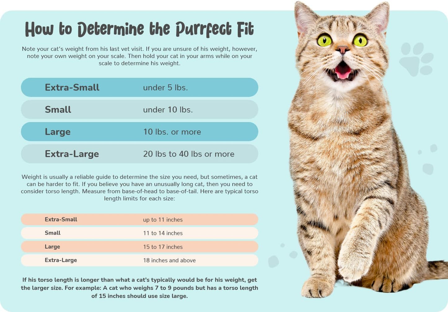 Cozy Comfort Carrier - X-Small Soft Red Cat Carrier and Cat Restraint Bag for Nail Trimming, Vet Visits, Medication Administration, Dental Care, and Travel