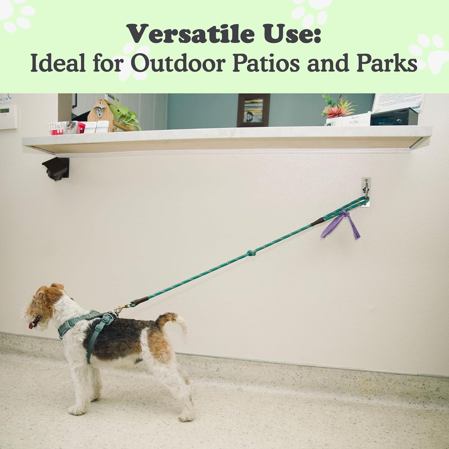 Canine Hitch- Secure Dog Leash Parking Indoor- Outdoor Wall Hook with Clip - Tie Out Stainless Steel - Practical Lead Management for Home & Business