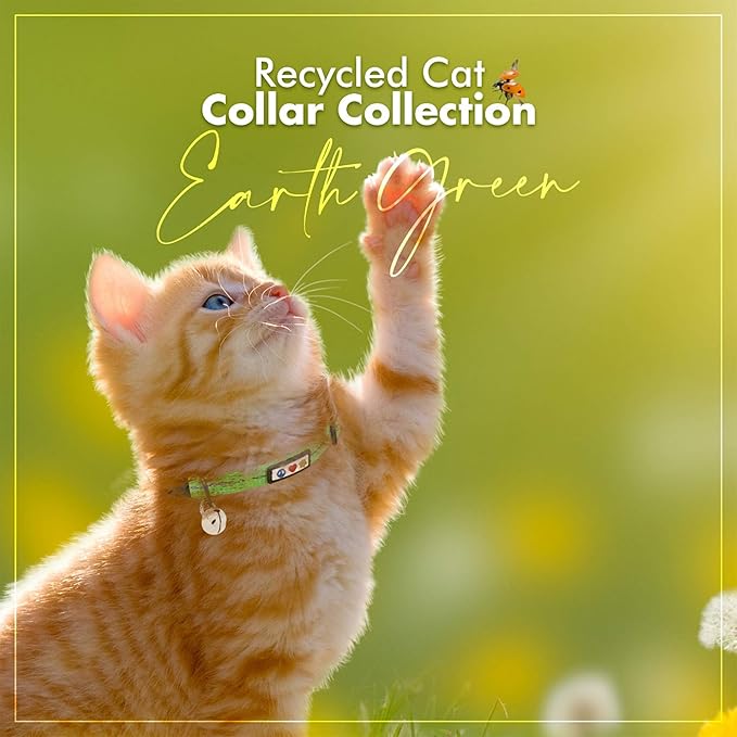 Pawtitas Recycled Green Reflective Cat Collar – Eco-Friendly Breakaway Safety Buckle, Adjustable Kitten & Adult Collar with Removable Bell and High-Visibility Strap