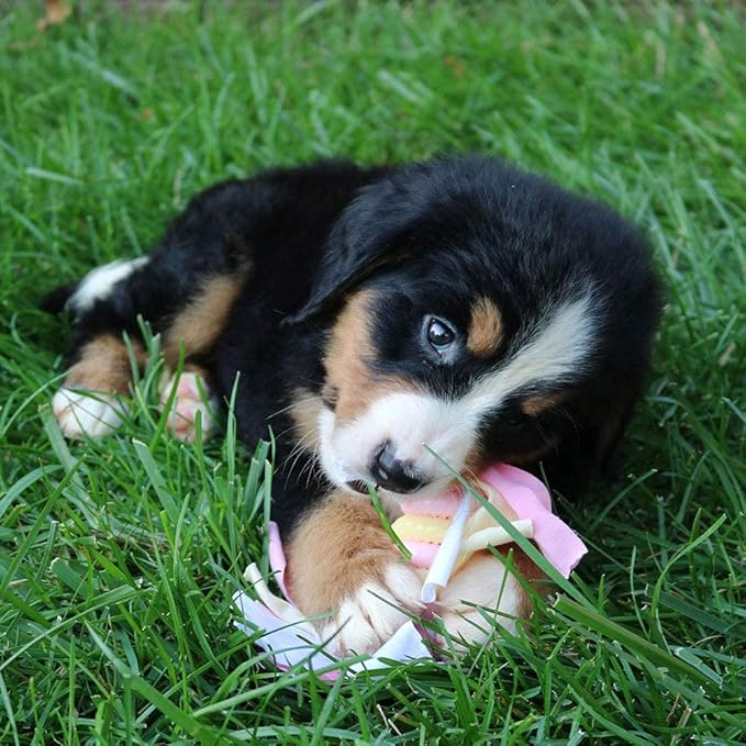 Original Snuggle Puppy Essentials Starter Kit - Heartbeat Puppy for Dogs - Calming Aid with 3 Heat Packs, Puppy Teething Toy, Dog Chew Toy and Dog Blanket