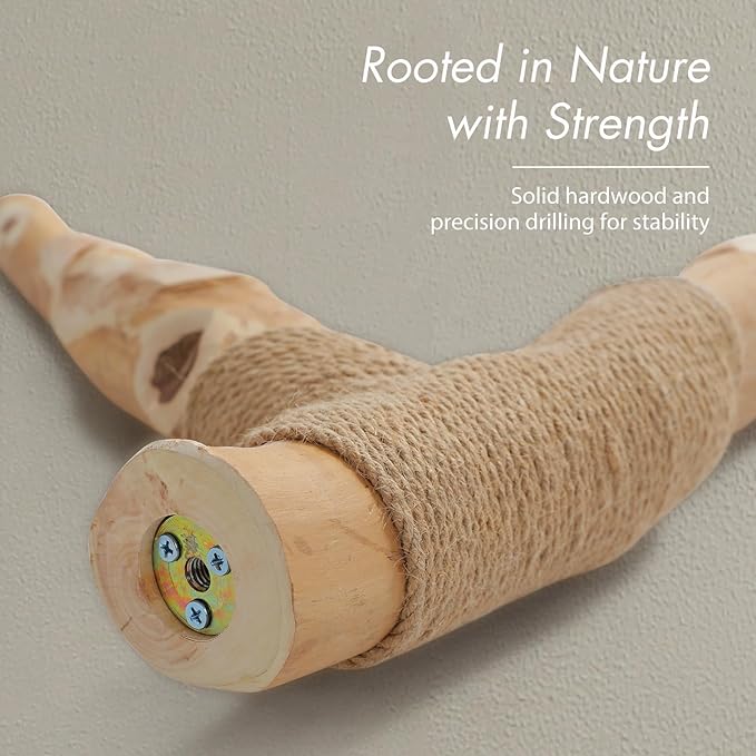 PAWZ Road Cat Tree for Indoor Cats Large Adults, 59 Inches Modern Cat Tower with 3 Large Baskets, Natural Solid Wood, Luxury Condo and Hammock, Modern Furniture for Big Cats, Brown