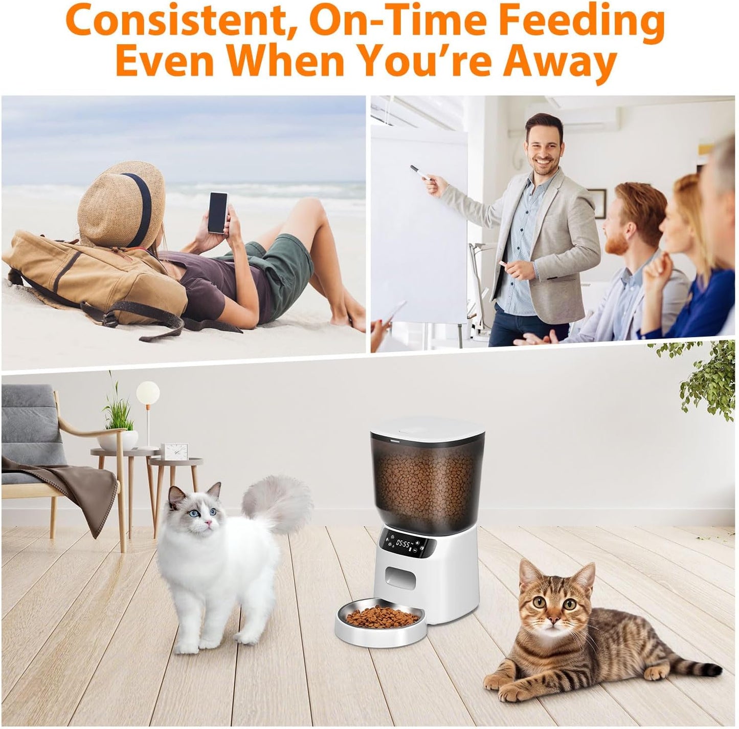 Automatic Cat Feeder, Cat Food Dispenser with Stainless Steel Bowl, Timed Portion Control 20 Portions 6 Meals Per Day, Voice Recorder, Dual Power Supply for Small Dogs (White)