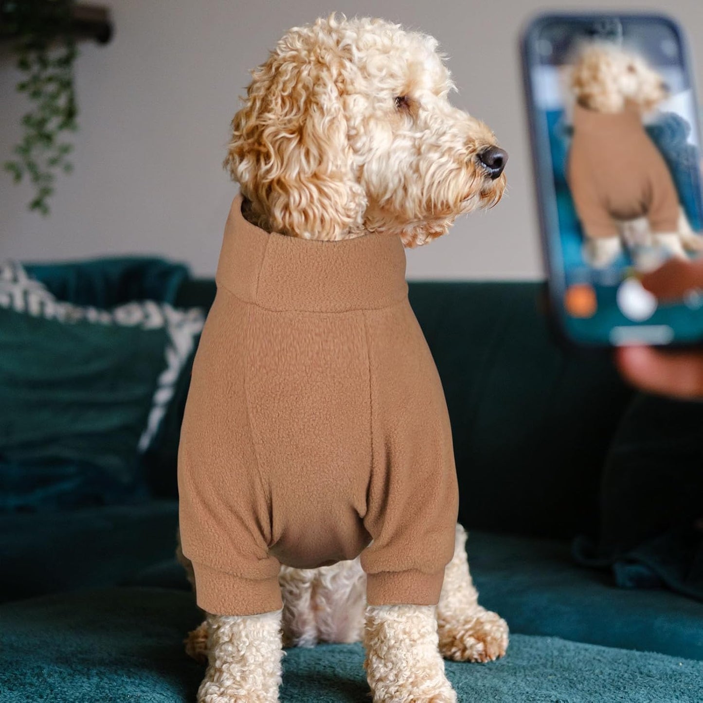 3 Pack Dog Sweater Fleece Pet Clothes Turtleneck Soft Warm Sweatshirt Dog Sweaters for Small Dogs Puppy Sweater Boy Girl Pet(Gray+Blue+Coffee,XS)