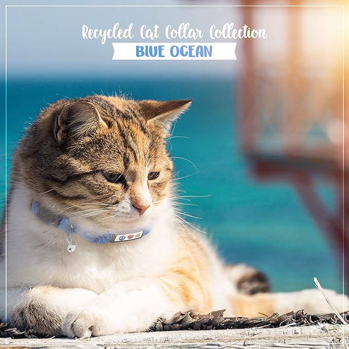 Pawtitas Recycled Blue Reflective Cat Collar – Eco-Friendly Breakaway Safety Buckle, Adjustable Kitten & Adult Collar with Removable Bell and High-Visibility Strap