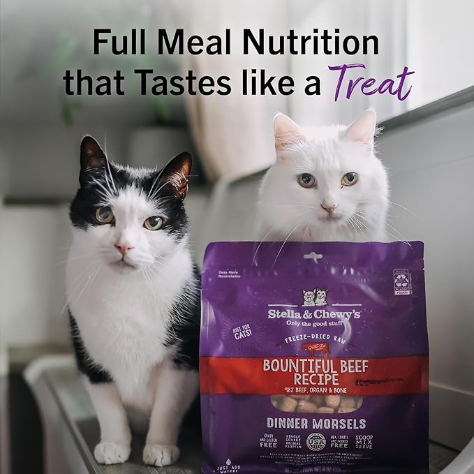 Stella & Chewy's Freeze-Dried Raw Cat Dinner Morsels - Premium Beef Recipe with 98% Grass-Fed Meat & Organs - Natural Grain-Free Cat & Kitten Food - Made in USA - 3.5 oz