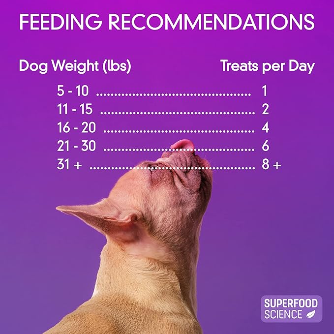 Organic Dog Treats – Turkey Dog Treats That Are Healthy, Low Calorie & Hypoallergenic Limited Ingredient Semi-Soft Bites, Natural Puppy Training Treats for Sensitive Stomachs, Made in USA, 5 oz