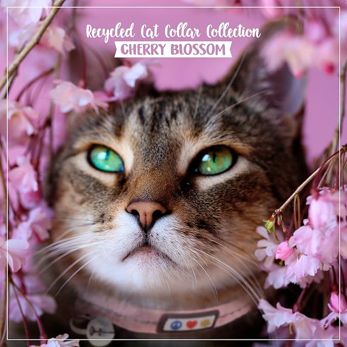 Pawtitas Recycled Pink Reflective Cat Collar – Eco-Friendly Breakaway Safety Buckle, Adjustable Kitten & Adult Collar with Removable Bell and High-Visibility Strap