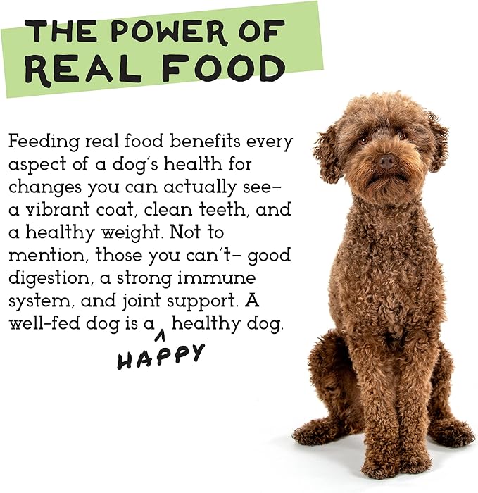 Simple Food Project - Beef & Salmon Recipe - Freeze Dried Raw Food for Dogs - 24oz