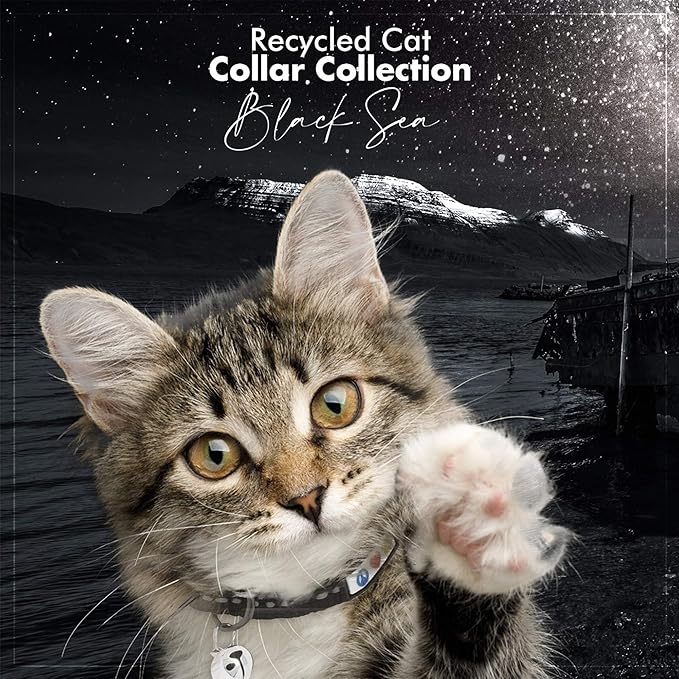 Pawtitas Recycled Black Reflective Cat Collar – Eco-Friendly Breakaway Safety Buckle, Adjustable Kitten & Adult Collar with Removable Bell and High-Visibility Strap