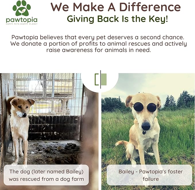 Pawtopia Biodegradable Dog Poop Bags, 60 Count, Certified Home Compostable, Leak-Proof, Easy Open