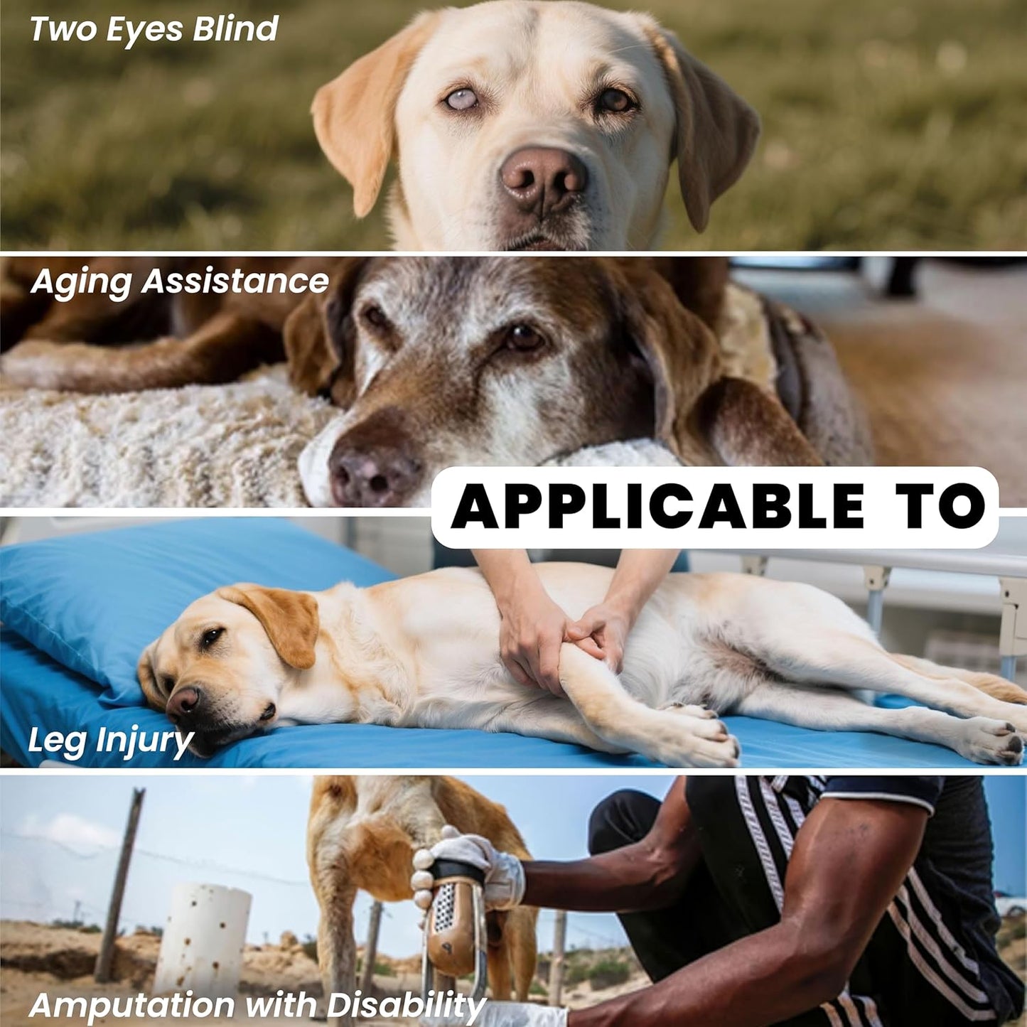 Dog Lift Harness Backpack Carrier for Large Dogs, Full Body Sling with Handle, Dog Harness for Joint Injuries, Arthritis, Ideal for Stairs, Elderly Dogs (Black X-Large 29-50 LBS)