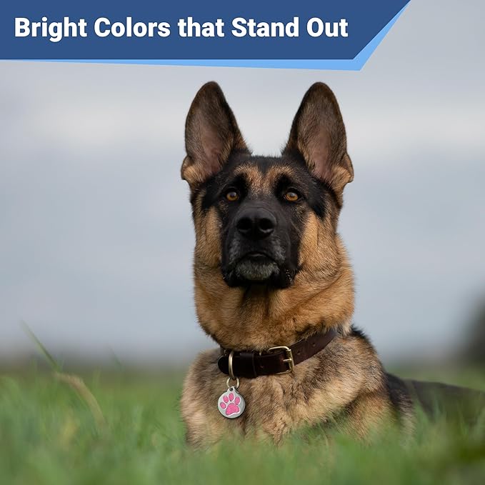 GoTags Paw Print Round Stainless Steel Pet Tag for Dogs and Cats, Personalized with 4 Lines of Custom Engraved ID with Silencer, in Stainless Steel and 15 Colors Small and Large, Glitter Green