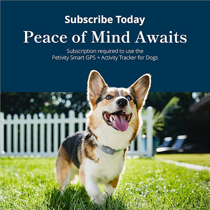Petivity Smart GPS and Activity Pet Tracker for Dogs Powered by Purina, Waterproof Real Time Tracking GPS Dog Collar, Downloadable App, Subscription Required