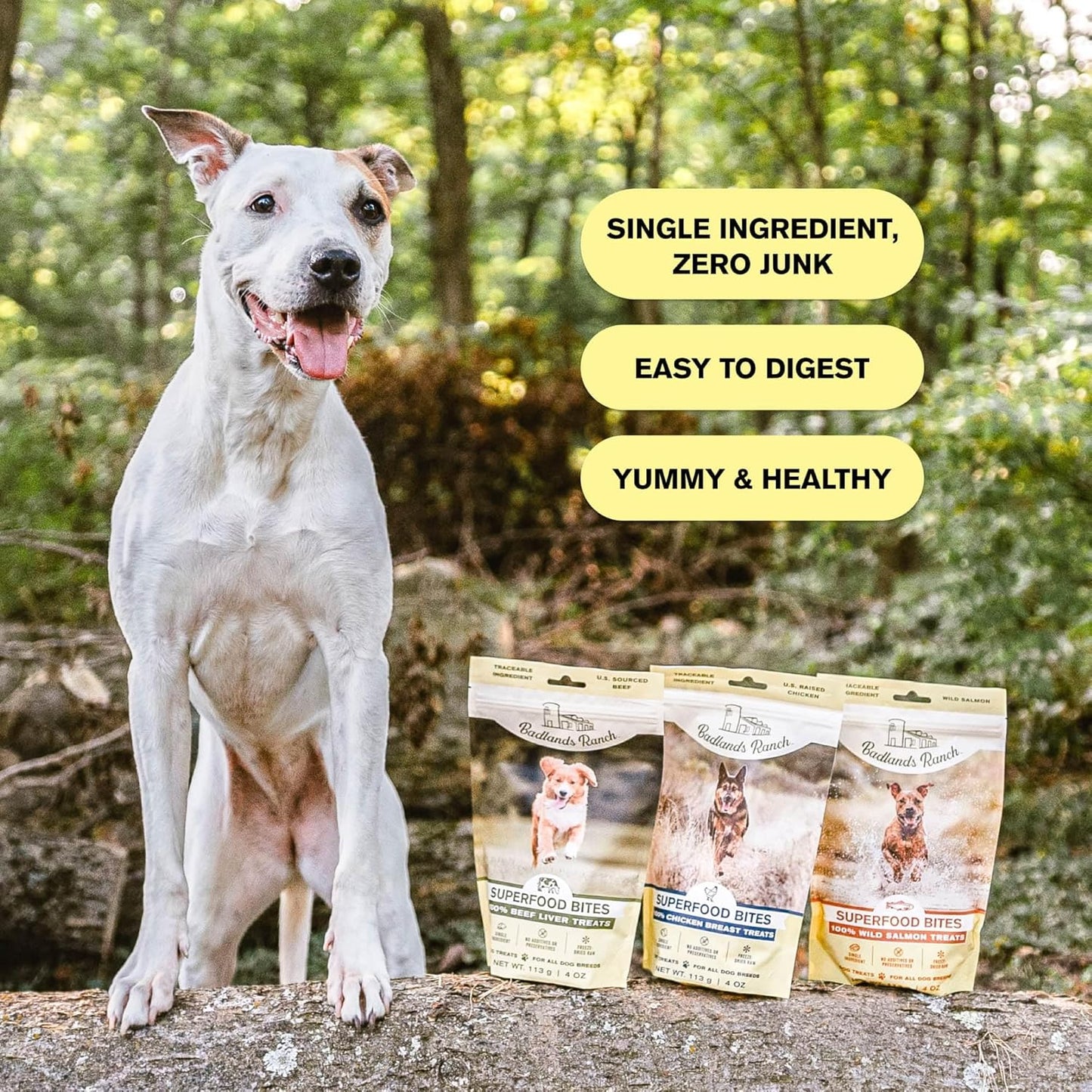 BADLANDS RANCH - Superfood Bite, Freeze-Dried Raw Dog Treats - Protein Rich, Train & Reward, Traceable Single Ingredient by Katherine Heigl (Chicken Breast)
