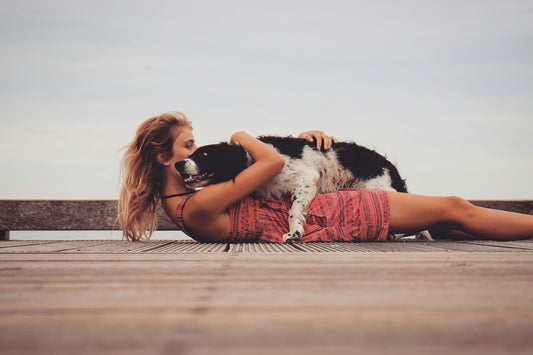 Moments of Connection! The Effects and Methods of Pet Massage with Bark&;Meow