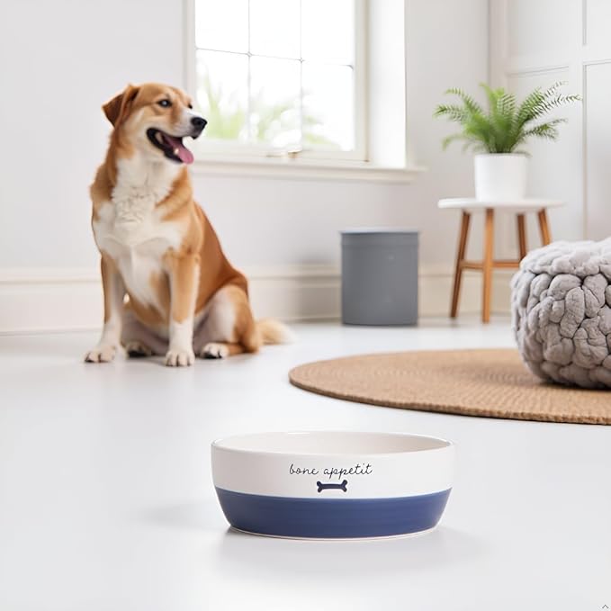 Pearhead Ceramic Dog Bowl – White & Navy “Bone Appétit” Design, Holds 2 Cups, Stoneware Pet Dish, Non-Skid Feeding Bowl, Small/Medium