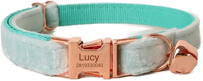 Cat Collar Personalized with Name Engraved and Bell, Customized Velvet Collars for Puppy Kittens (Aqua, S)