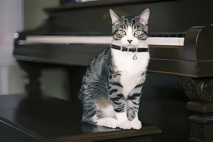 White Kitten Collar with Bell, Soft Pu Leather Small Dog Collars Adjustable Buckle for XXS XS Extra Small Medium Tiny Female Male Boys Girls Pets Puppy Cats Teacup Yorkie XX-Small