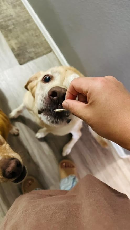 Anderson's Freeze Dried Protein Pet Treats, 2 oz | Quality Treats for Training | Grain and Gluten Free | Arkansas Farm Raised Minnows