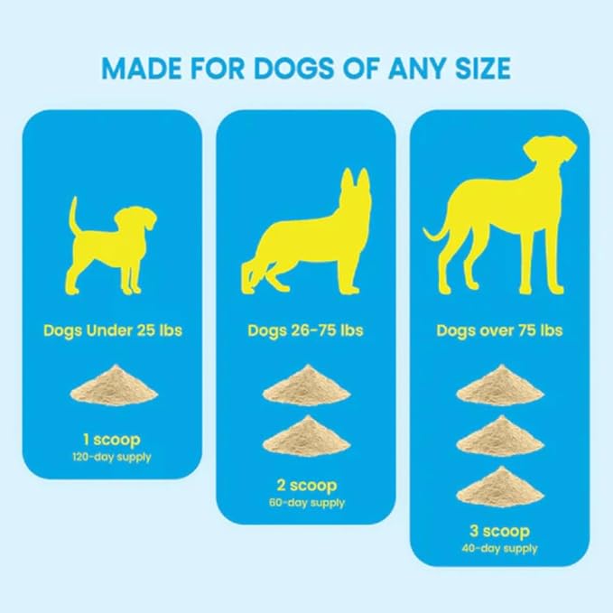 Advanced Hip and Joint Supplement for Dogs | Chondroitin, Vitamin and Glucosamine for Dogs | Dog Joint Supplement for Health + Mobility | 120 Scoops