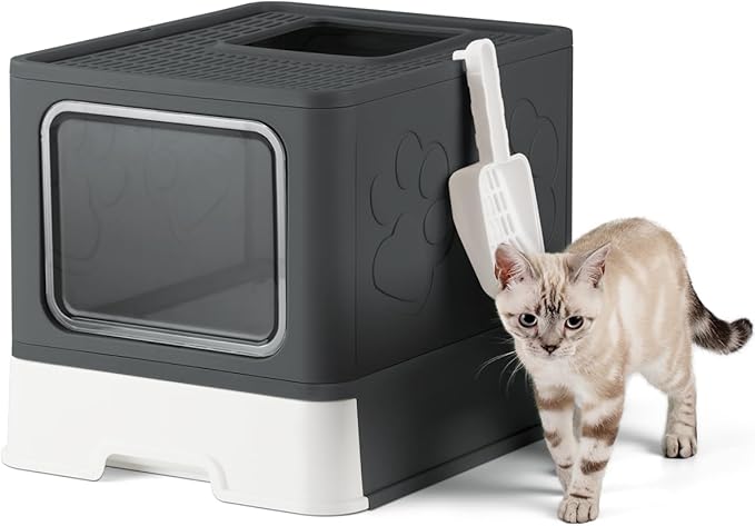 Enclosed Cat Litter Box, Large Litter Box for Big Cats, Covered Kitty Litter Boxes with Lid, Top Entry Cat Box Enclosure with Scoop, Odor Control, Easy to Clean (Black)