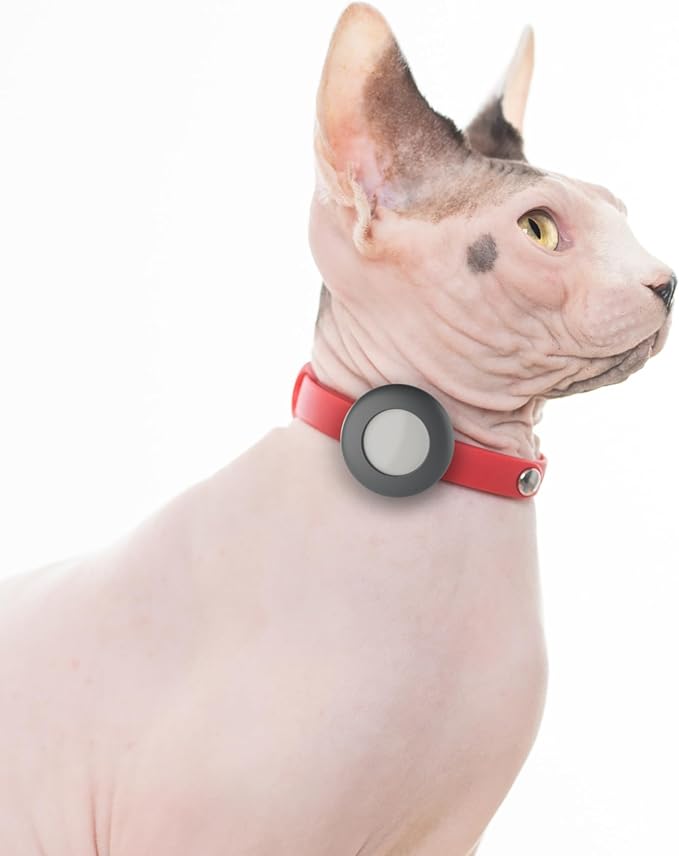Airtag Breakaway Cat Collar - Soft, Comfortable, and Lightweight Safety Buckle Collar with Air Tag GPS Tracker Holder for Outdoor Cats and Sensitive Skin Kittens by Nuvuq (6 ⅞" to 10 ¼", Red)
