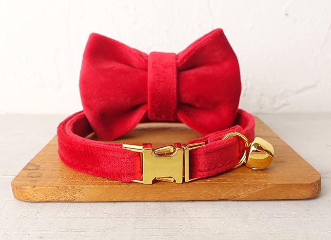 Cat Collar Personalized with Name Engraved and Bell, Customized Velvet Collars for Puppy Kittens (Red, L)