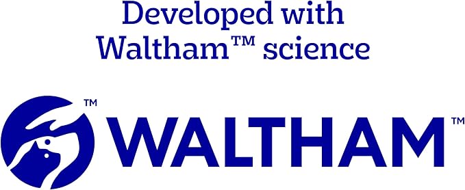 Pedigree Dentastix Large Breed Dog Treats, Fresh Flavor, 1.46 lb. Bag (28 Treats)