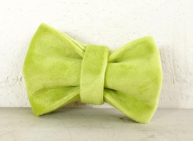 Cat Collar Personalized with Name Engraved and Bell, Customized Velvet Collars for Puppy Kittens (Moss Green, S)