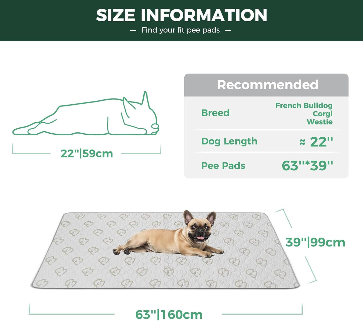 FXW Washable Pee Pads for Dogs, Puppy Pads with Super Absorbent, Specifically Designed for FXW Rollick/Homeplus 24inch 6 Panels Dog Playpen, 63" × 39" Rectangle, Khaki, 1 Pack