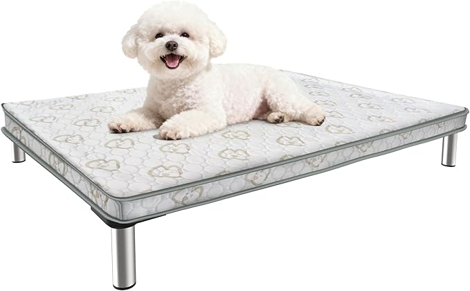 FXW TitanNest Chew-Proof Elevated Dog Bed, Raised Cot for Indoor/Outdoor/Camping Use, Durable & Washable Padded Pet Bed with Exclusive Cover for Extra-Small Dogs, 29.0" L x 18.0" W x 4.5" H, Black