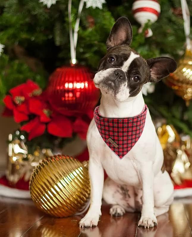 Lionet Paws Christmas Dog Bandana 1PC Pet Red Tree Dog Bandana Washable Reversible Cotton Boy Bibs Scarf, Adjustable Square Dogs Kerchief for Small to Large Dog