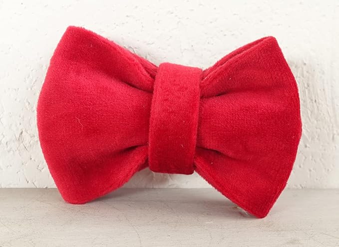 Cat Collar Personalized with Name Engraved and Bell, Customized Velvet Collars for Puppy Kittens (Red, S)