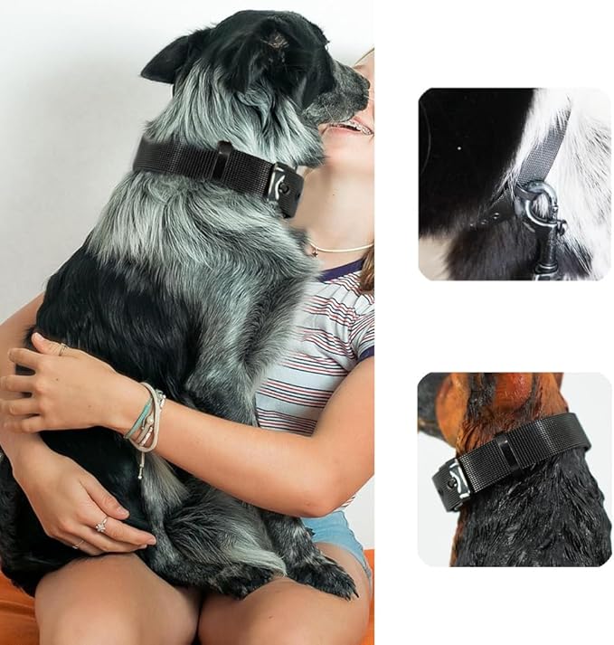 Stainless Steel Big Black Adjustable Breathable Belt Pet Collar Dog Cat Kitten Waterproof S/M/L 14mm Woven Tape Slip Durable Stainless Steel Choker