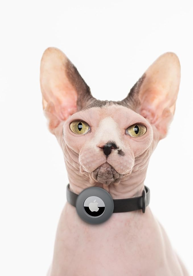 Airtag Cat Collar - Soft, Comfortable, and Lightweight Breakaway Collar with Air Tag GPS Tracker Holder for Outdoor Cats and Sensitive Skin Kittens by Nuvuq (6 ⅞" to 10 ¼", Black)