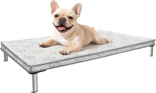 FXW TitanNest Chew-Proof Elevated Dog Bed, Raised Cot for Indoor/Outdoor/Camping Use, Durable & Washable Padded Pet Bed with Exclusive Cover for Small Dogs, 35.0" L x 22.0" W x 4.5" H, Gray