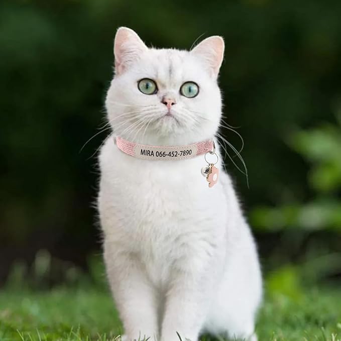 Personalized Cat Collar with Bell - Custom Kitten Breakaway Collars with UV Printed Pet Name and Phone Number Adjustable and Stylish (Corduroy)